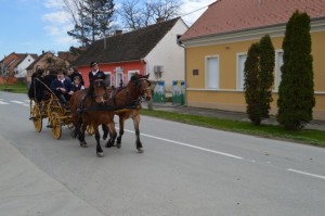 Pokladno jahanje 8