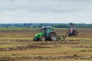 IMG_8920
