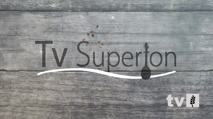 Požega.eu | Gosti TV Supertona tamburaši „Zlatna dolina“, te brojna estradna imena