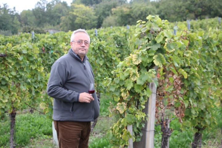 Požega.eu | Visoko postavljena letvica: Renomirani vinar mr.sc. Branko Mihalj i ove godine očekuje zlato za svoj portugizac