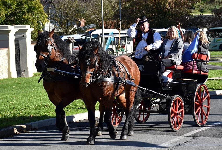 Više tisuća planinara i drugih posjetitelja okupilo se u Kutjevu na tradicionalnoj proslavi Martinja u Kutjevu /FOTOGALERIJA)