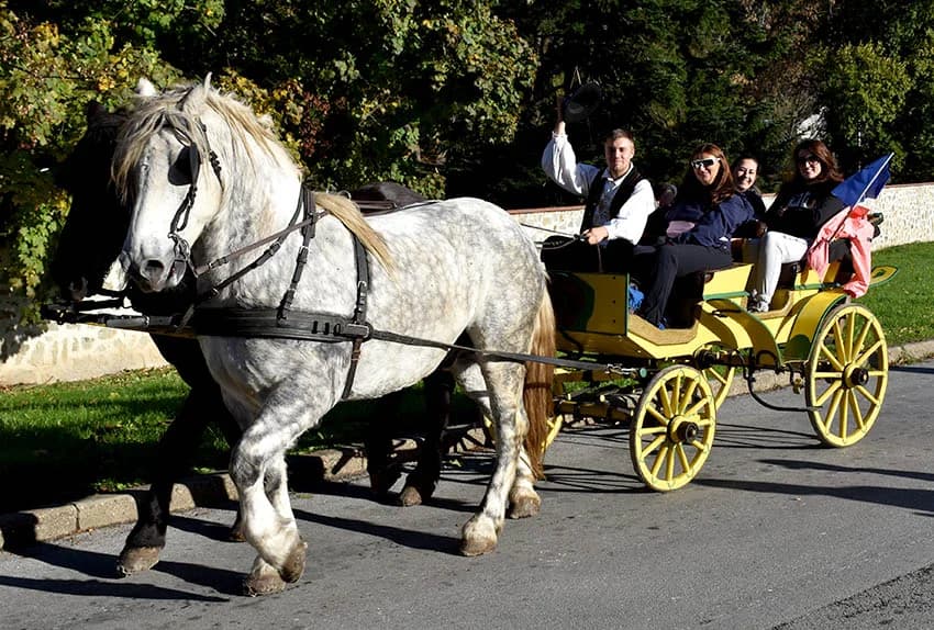 Više tisuća planinara i drugih posjetitelja okupilo se u Kutjevu na tradicionalnoj proslavi Martinja u Kutjevu /FOTOGALERIJA)