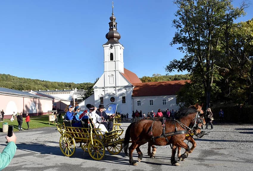 Više tisuća planinara i drugih posjetitelja okupilo se u Kutjevu na tradicionalnoj proslavi Martinja u Kutjevu /FOTOGALERIJA)