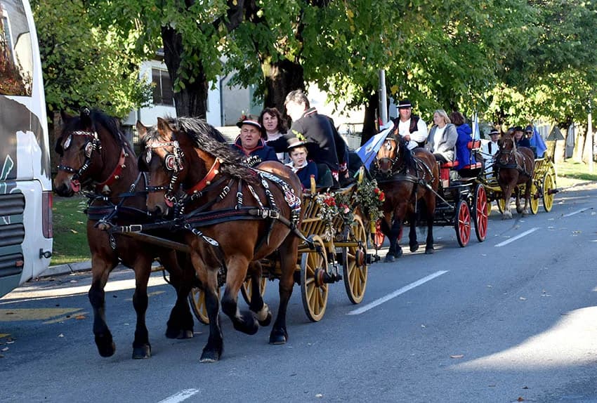 Više tisuća planinara i drugih posjetitelja okupilo se u Kutjevu na tradicionalnoj proslavi Martinja u Kutjevu /FOTOGALERIJA)