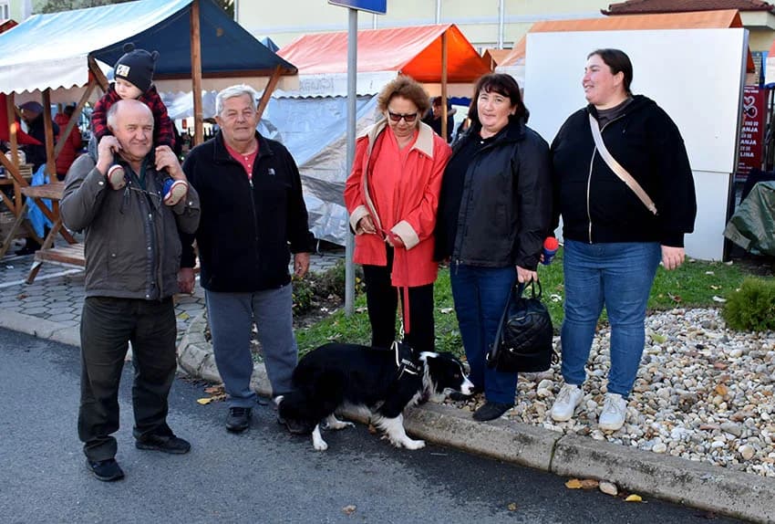 Više tisuća planinara i drugih posjetitelja okupilo se u Kutjevu na tradicionalnoj proslavi Martinja u Kutjevu /FOTOGALERIJA)
