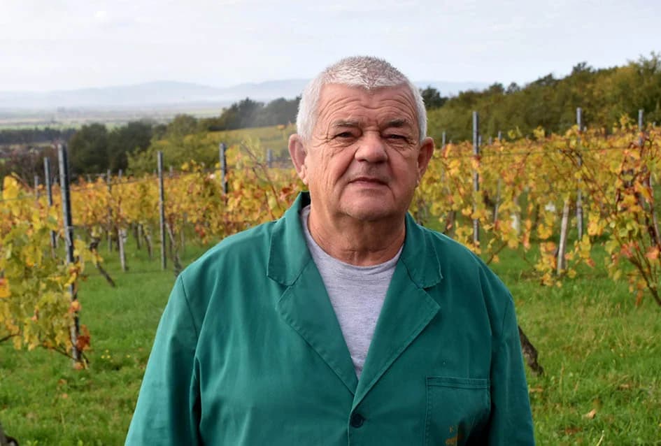 ZAVRŠENA BERBA U VINOGRADIMA OBITELJI MIHALJA IZ KUTJEVA: Sin Branimir nastavlja očevo djelo