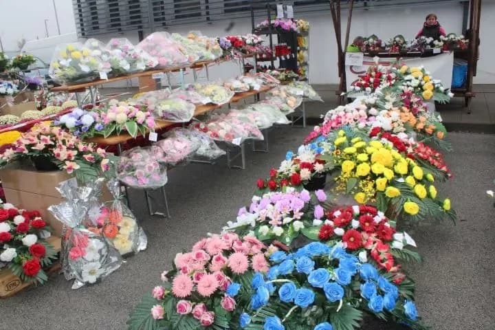 Foto 101794