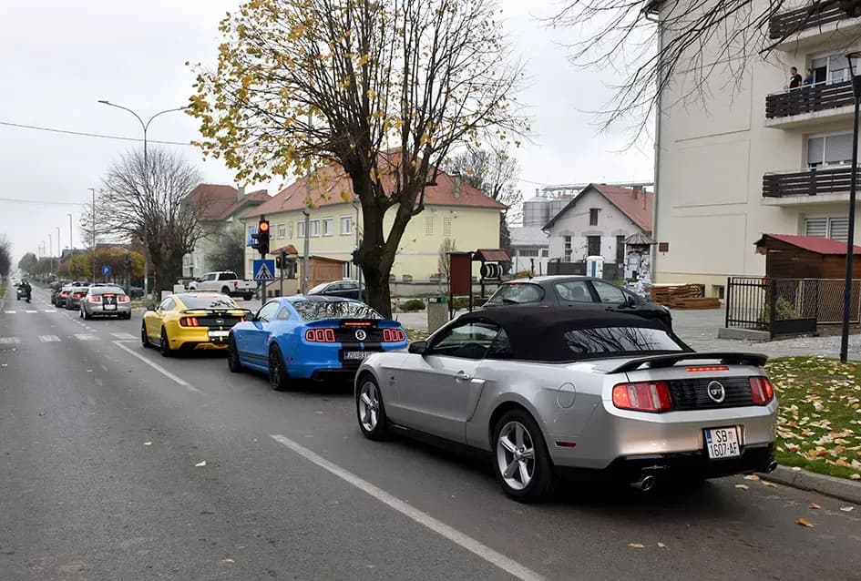 Američke ikone na Martinskom druženju u Kutjevu i Požegi