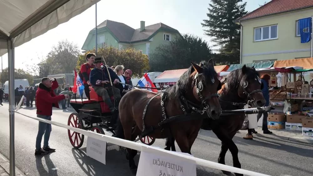 Nikad bolje Martinje u Kutjevu – tisuće planinara, gostiju i ljubitelja graševine uživalo u nezaboravnom danu