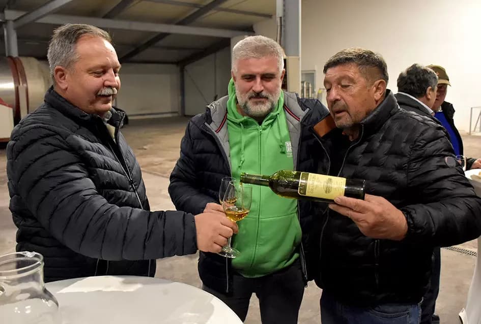 Krštena mlada graševina, kušana rijetka arhivska vina stara preko 30 godina