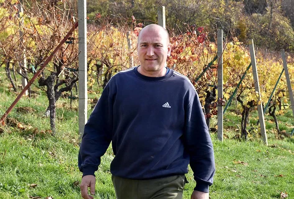 Obitelj Pamuklić iz Požege: Gotovo četiri desetljeća strasti prema vinovoj lozi