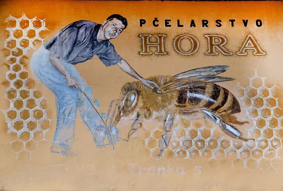 Pčelarska obitelj Hora iz Kutjeva: Čuvari slatke tradicije duge od 1975. godine