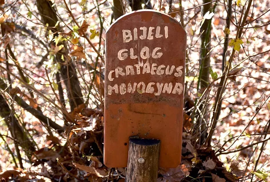 Jezero Sovinjak životno djelo Marice i Slavka Marinovića čeka novog vlasnika: Raj za ribiče i izletnike na korak do Požege