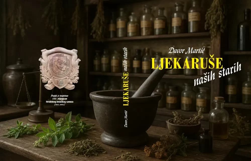 Lijekovi od divljači i biljaka kako su to radili naši stari - poznaju ih i Slavonci
