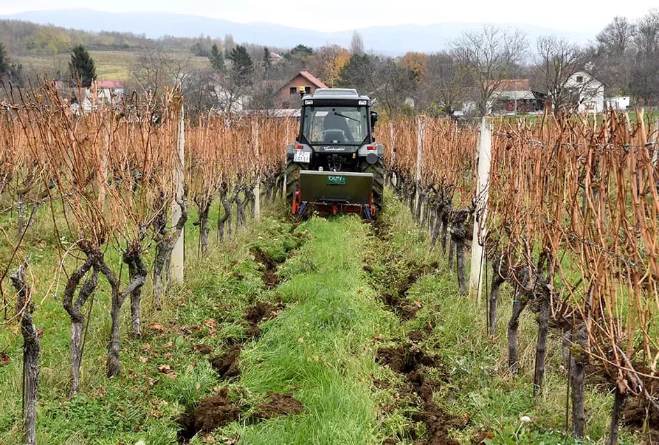 Obiteljska tradicija i suvremeni pristup: Marko Tomić, mladi vinogradar iz Biškupaca, gradi svoju vinsku priču na temeljima oca Ivice