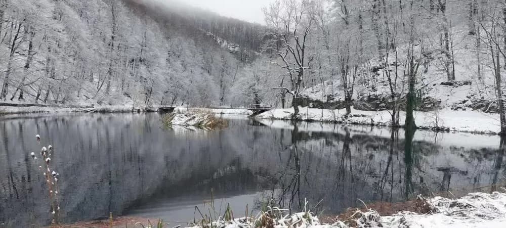 Snježna čarolija Papuka: Vikend u bajkovitom Jankovcu