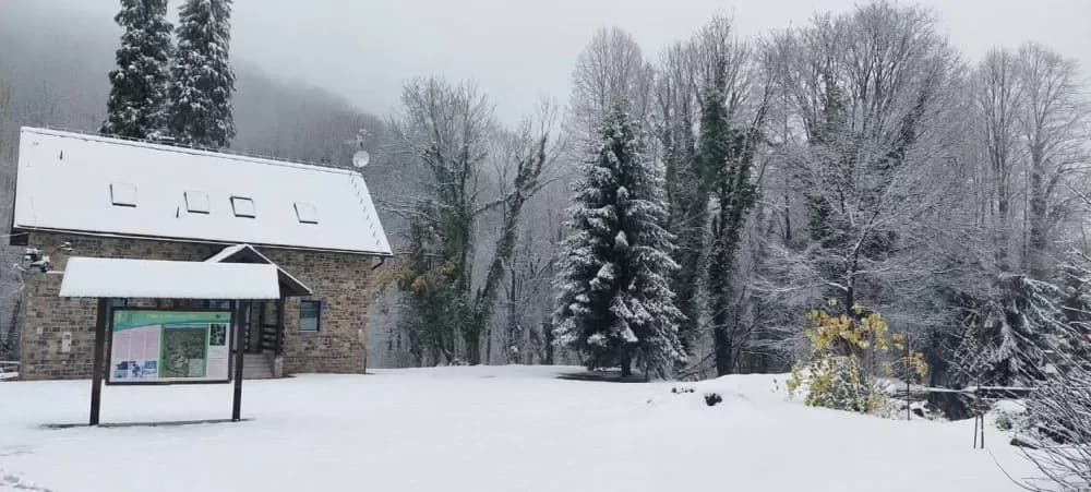 Snježna čarolija Papuka: Vikend u bajkovitom Jankovcu
