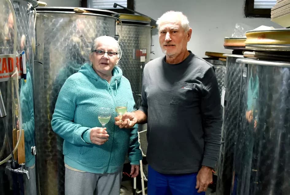 Vino s dušom Papuka: Obitelj Ostojić i njihova priča o graševini, rizlingu i merlotu