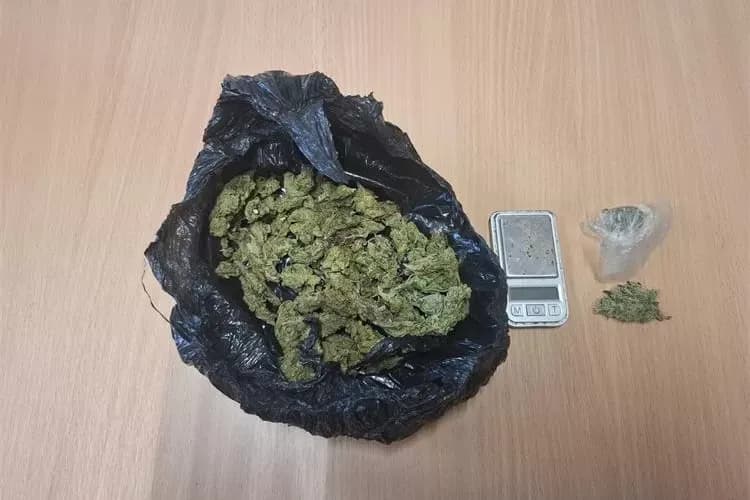 Policija razbila ilegalnu prodaju marihuane na području Pleternice – 24-godišnjak prijavljen