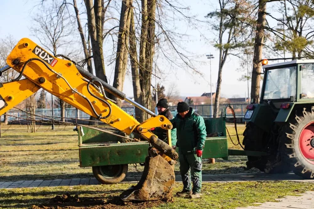 Zeleni rast Pleternice: Nova stabla, edukacije vrtićaraca i projekti održivosti