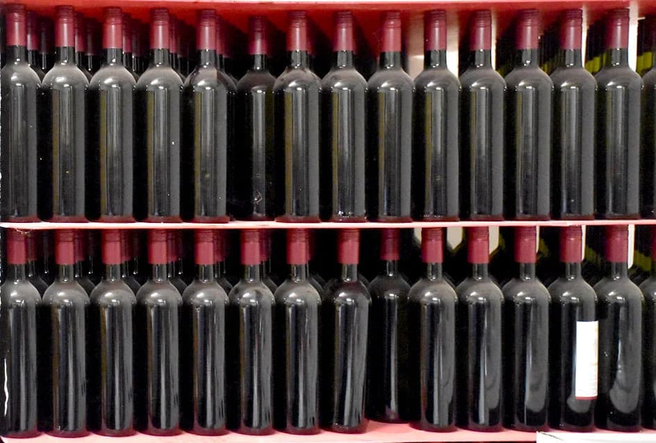 Vinciliri jedinstvenog vinograda na Trgu Graševine