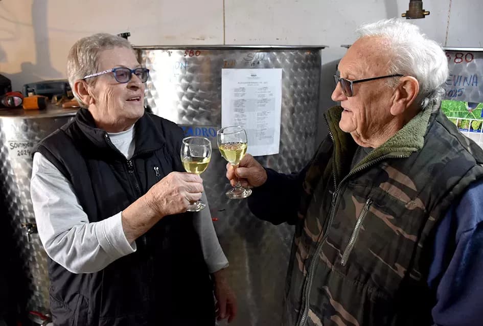 Iskustvo ispred tradicije: Đurđa i Petar Vukosavljević Mačak već započeli rezidbu u svom vinogradu