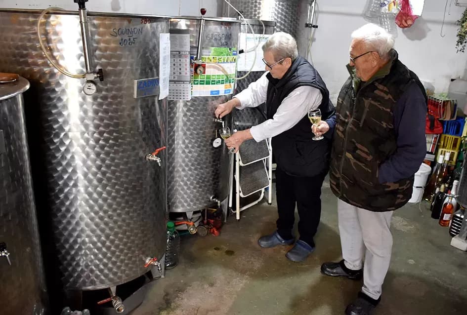 Iskustvo ispred tradicije: Đurđa i Petar Vukosavljević Mačak već započeli rezidbu u svom vinogradu