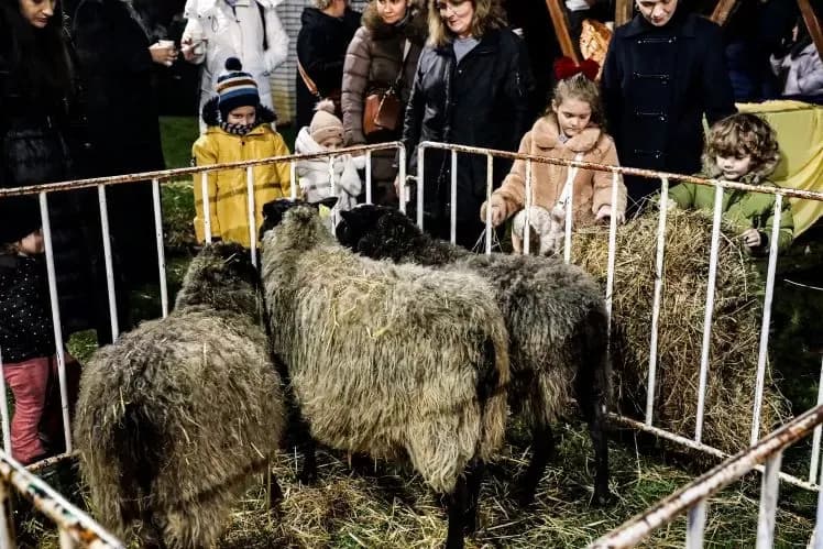 Žive jaslice u Pleternici donijele poseban duh Božića
