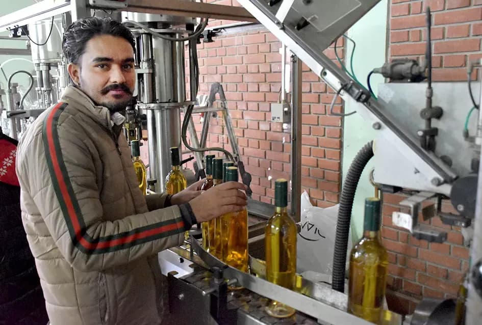 Vinski vizionar iz Hrnjevca: Ivo Enjingi uoči Badnjaka napunio šampionsko bijelo Venje 2015.