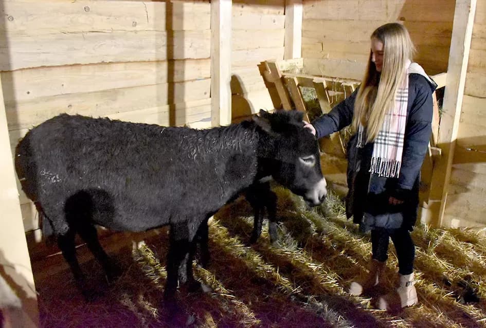 Betlehem u srcu Velike: Žive jaslice za pomoć djeci Benina