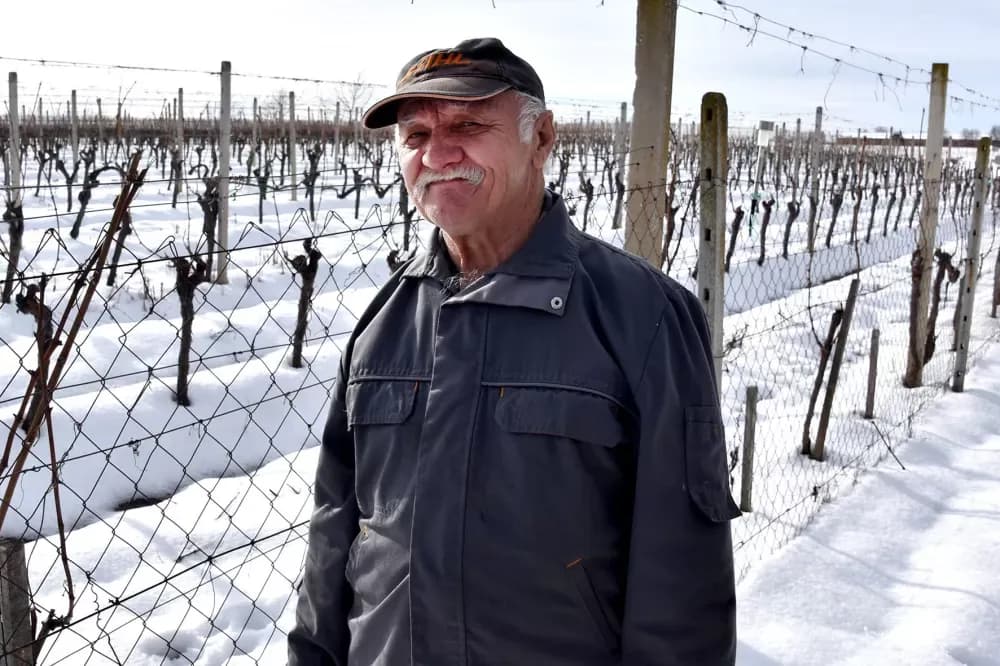 VINOGRAD KAO ŽIVOTNA NAVIKA: Branko Guzmić iz Radovanaca već u prosincu krenuo s rezidbom četiri tisuće čokota