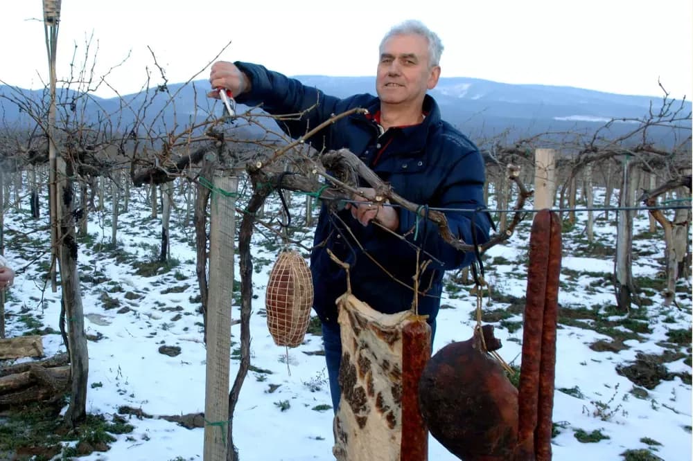 VINOGRADI OBITELJI JAKOBOVIĆ IZ VETOVA: Rezidba kao uvertira u proslavu Vincelova