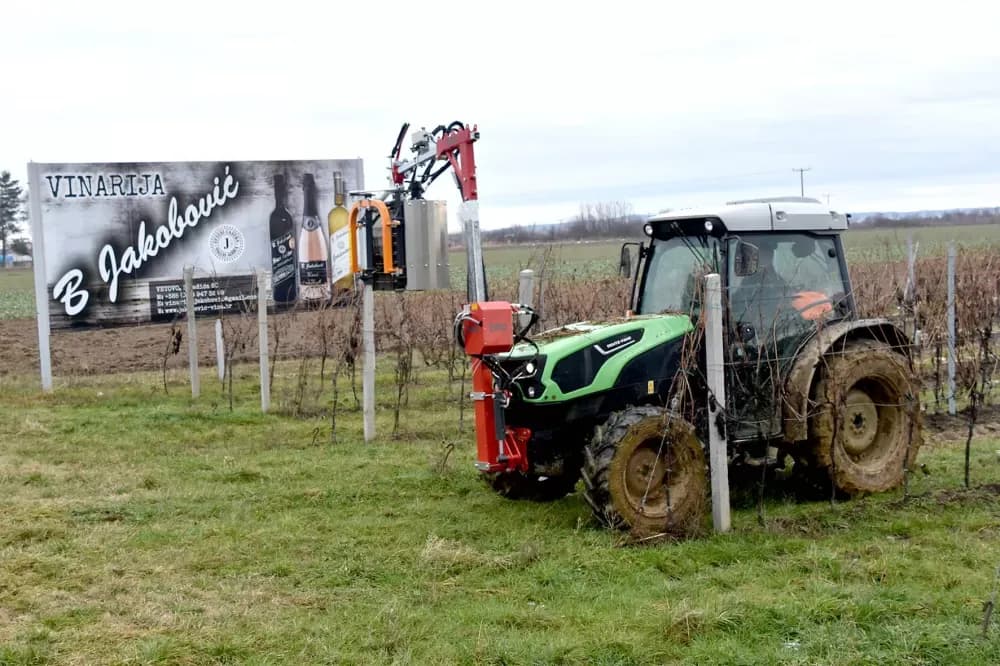 VINOGRADI OBITELJI JAKOBOVIĆ IZ VETOVA: Rezidba kao uvertira u proslavu Vincelova
