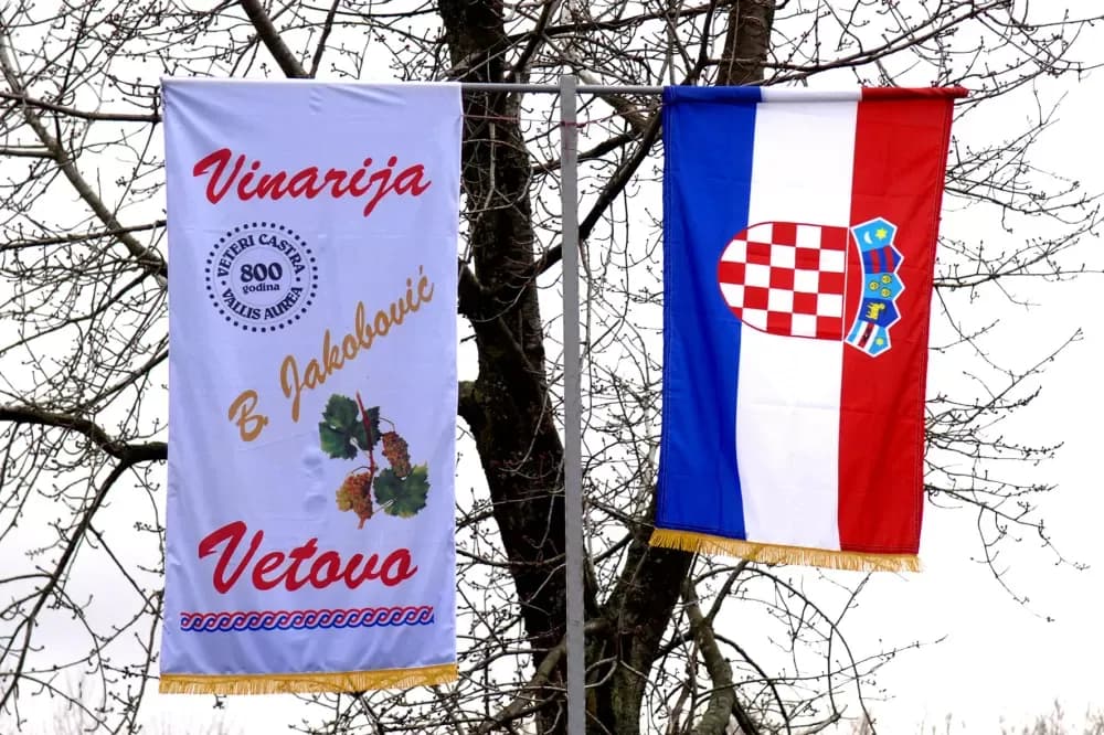 VINOGRADI OBITELJI JAKOBOVIĆ IZ VETOVA: Rezidba kao uvertira u proslavu Vincelova
