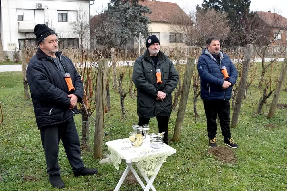 Udruga ʼVino-Kapʼ proslavila Vincelovo uz brojne goste i prijatelje