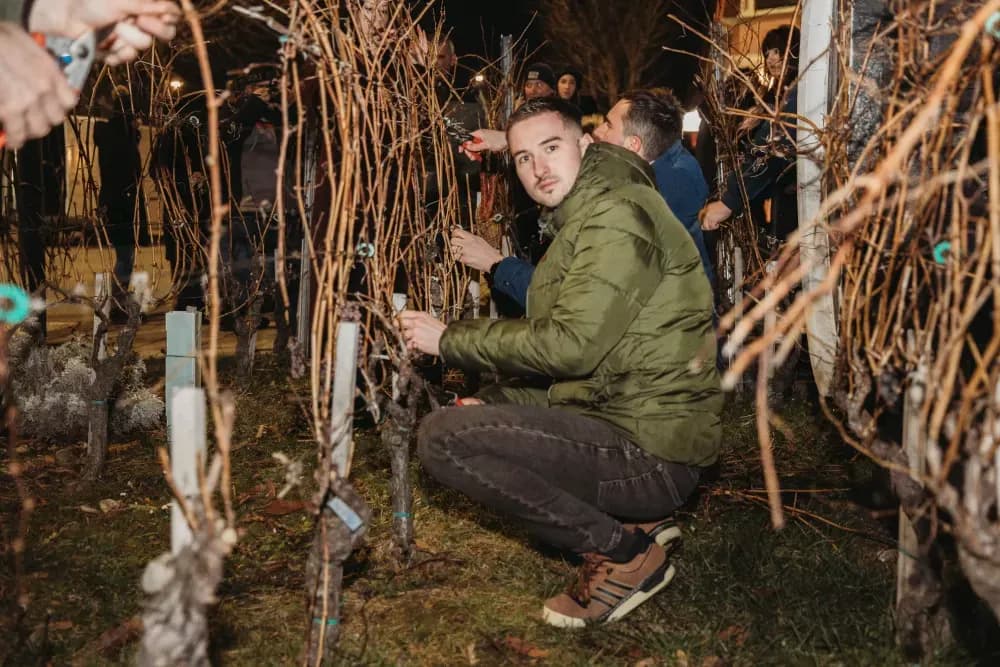 Kutjevačko vincelovo uz Ivana Štivića za pamćenje