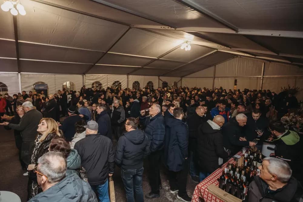 Kutjevačko vincelovo uz Ivana Štivića za pamćenje