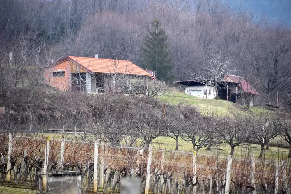 Vincelovo postaje tradicija na Kamenjaku: Blagoslov i vrhunska domaća kapljica