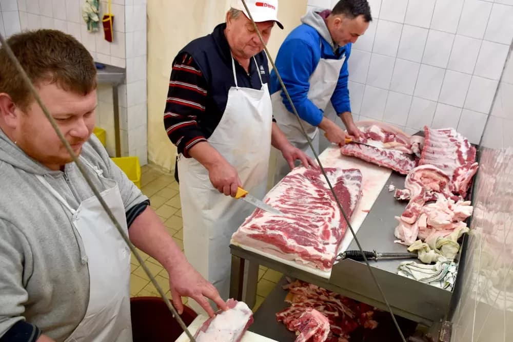 Niske temperature idu na ruku majstorima kulena: Damir Hruška prerađuje stotinu tovljenika iz vlastita uzgoja