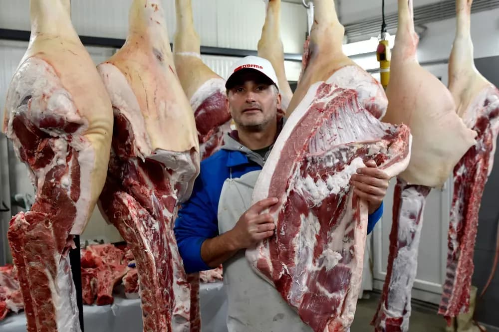 Niske temperature idu na ruku majstorima kulena: Damir Hruška prerađuje stotinu tovljenika iz vlastita uzgoja