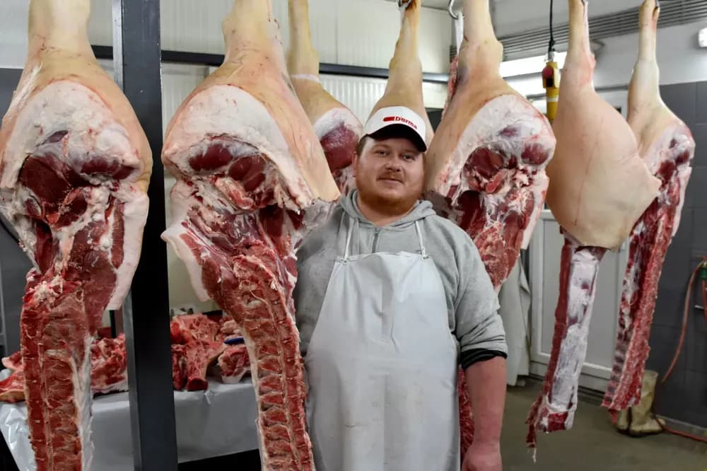 Niske temperature idu na ruku majstorima kulena: Damir Hruška prerađuje stotinu tovljenika iz vlastita uzgoja