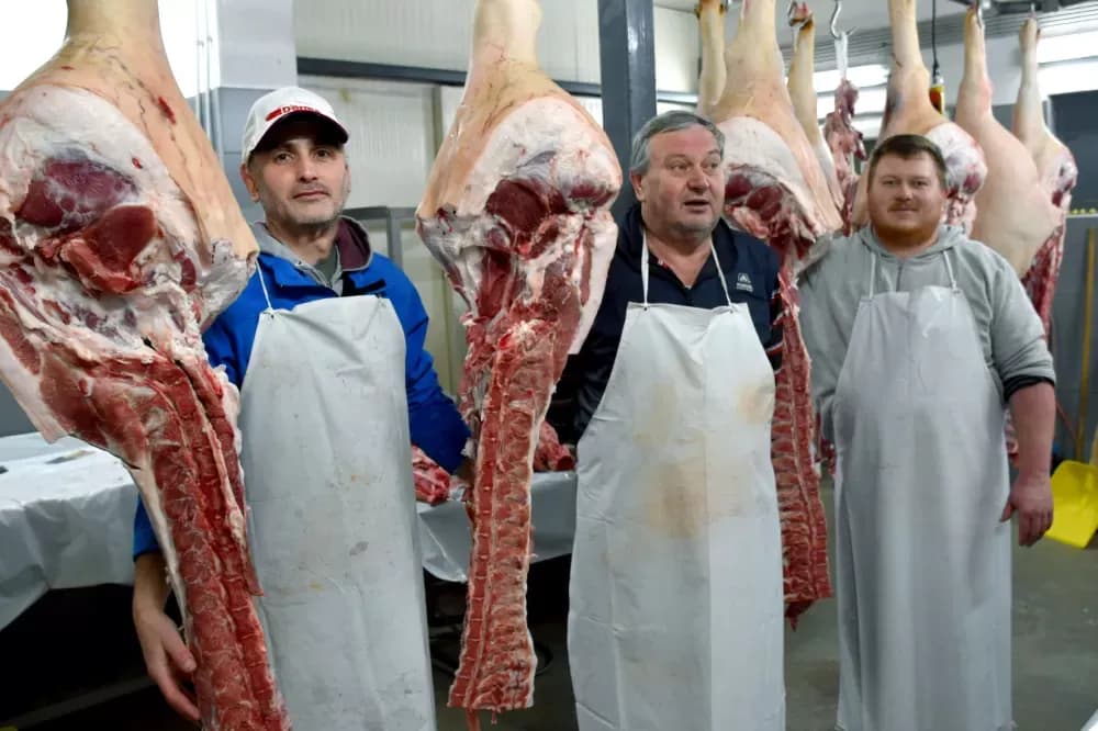 Niske temperature idu na ruku majstorima kulena: Damir Hruška prerađuje stotinu tovljenika iz vlastita uzgoja