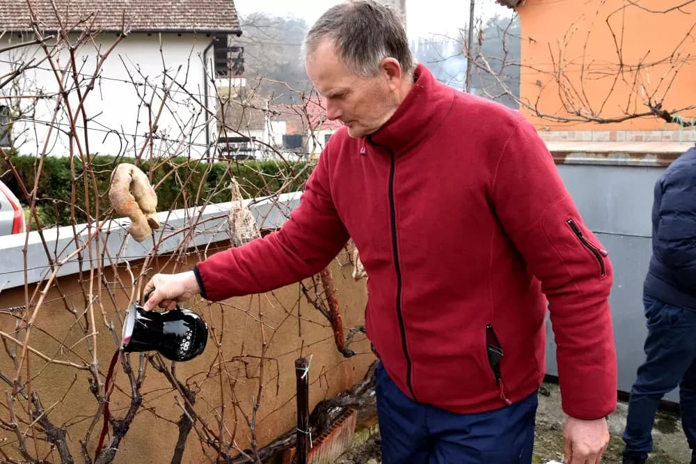 DVOSTRUKO SLAVLJE KOD KRSNIKOVIH: Vincelovo i Vinkov imendan uz pjesmu, blagoslov i miris ražnja