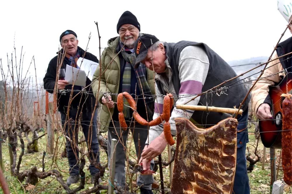 Bivši predsjednik Mesić tradicionalno proslavio Vincelovo u vinskoj prijestolnici Kutjevu