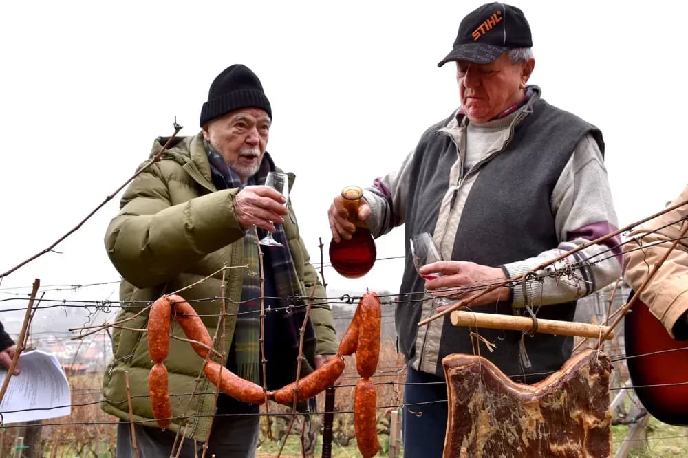Bivši predsjednik Mesić tradicionalno proslavio Vincelovo u vinskoj prijestolnici Kutjevu