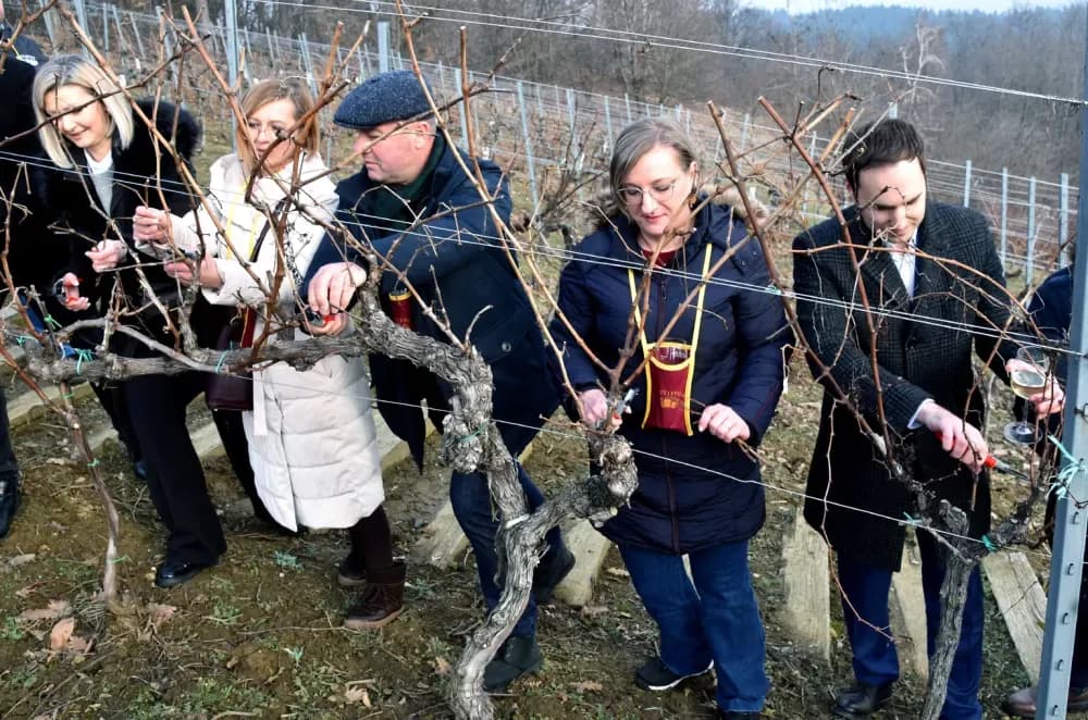 Vinarija Kutjevo d.d. obilježila Vincelovo na položaju Vinkomir