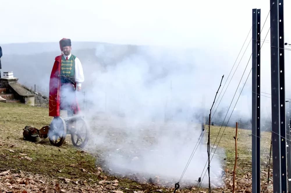 Vinarija Kutjevo d.d. obilježila Vincelovo na položaju Vinkomir
