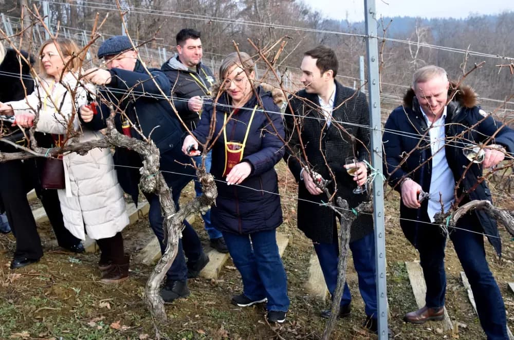 Vinarija Kutjevo d.d. obilježila Vincelovo na položaju Vinkomir