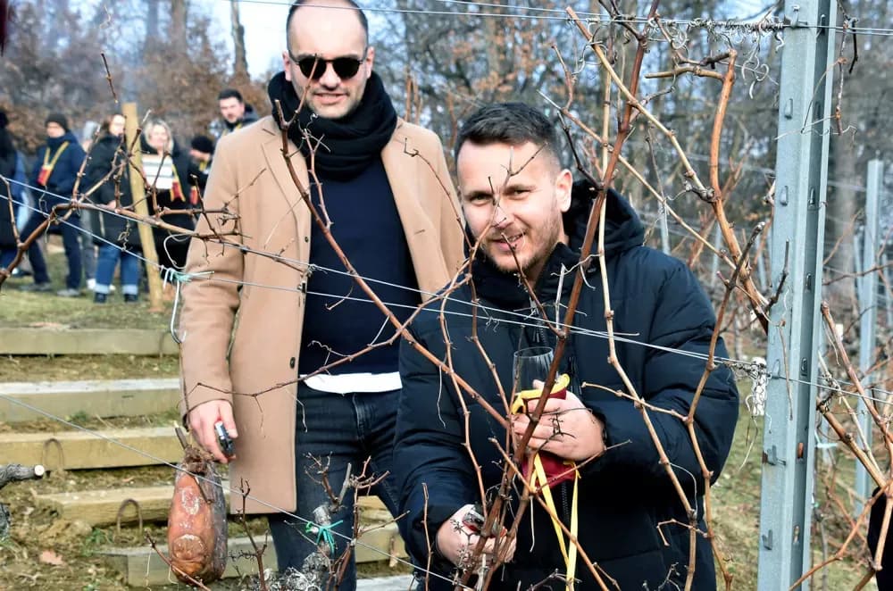 Vinarija Kutjevo d.d. obilježila Vincelovo na položaju Vinkomir