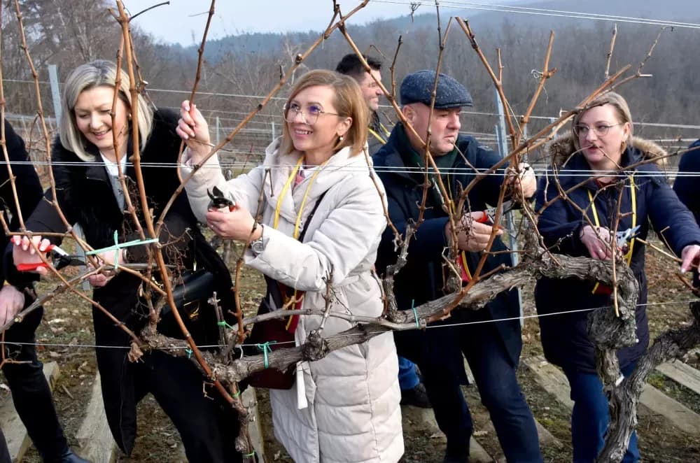 Vinarija Kutjevo d.d. obilježila Vincelovo na položaju Vinkomir